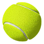 Maxa Casino | Tennis schedule — follow tournaments